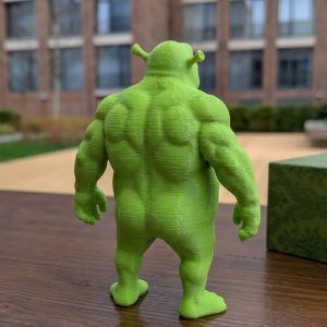 Camp-o Shrek